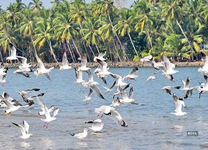 jaw and neck treatment centre manjeri